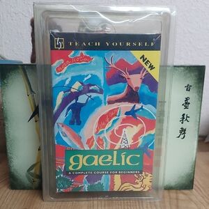 Ty Gaelic Course for Beginners Teach Yourself